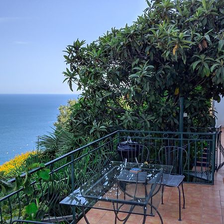 Villa Delle Agavi Vietri Bagian luar foto