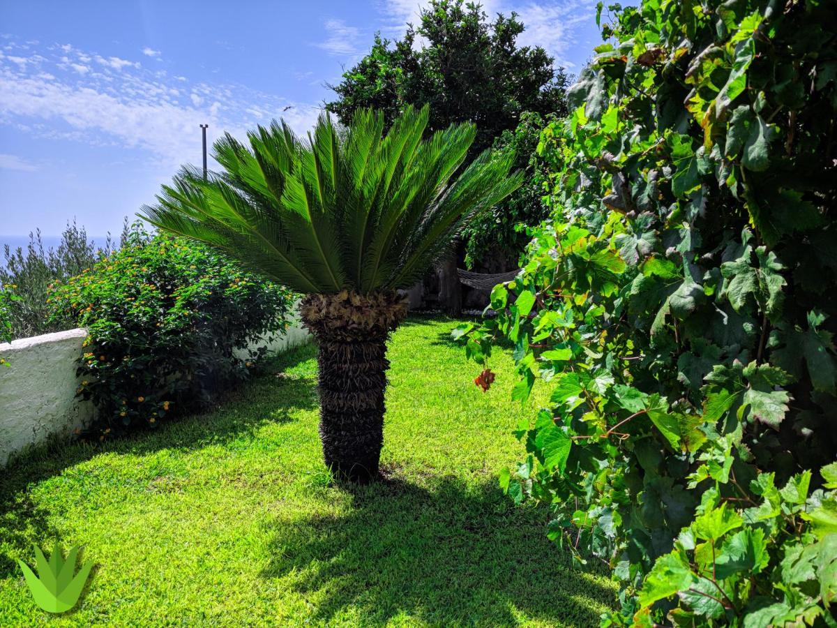 Villa Delle Agavi Vietri Bagian luar foto