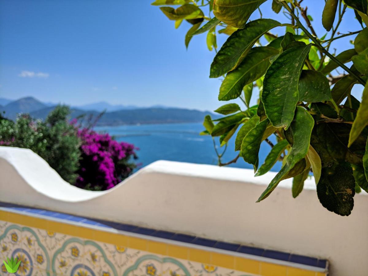 Villa Delle Agavi Vietri Bagian luar foto