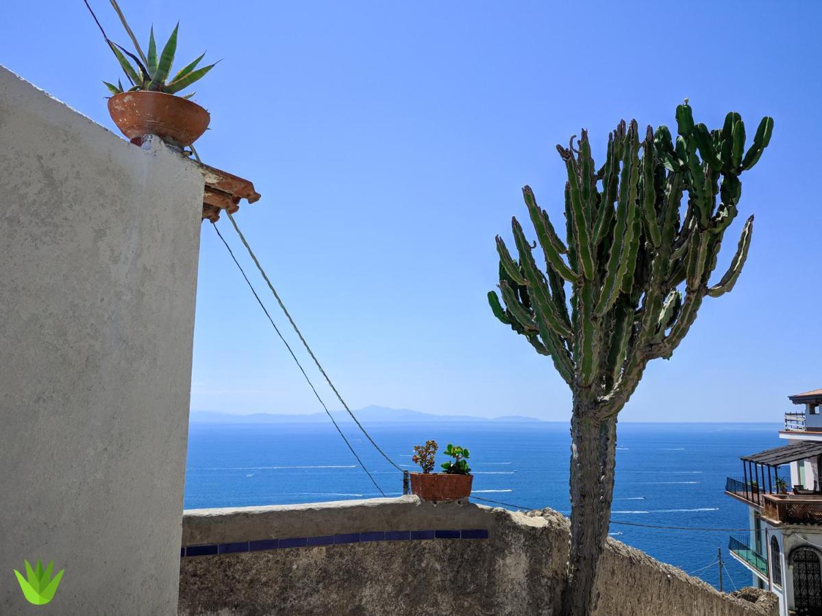 Villa Delle Agavi Vietri Bagian luar foto