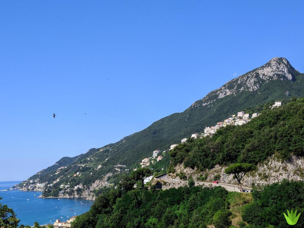 Villa Delle Agavi Vietri Bagian luar foto